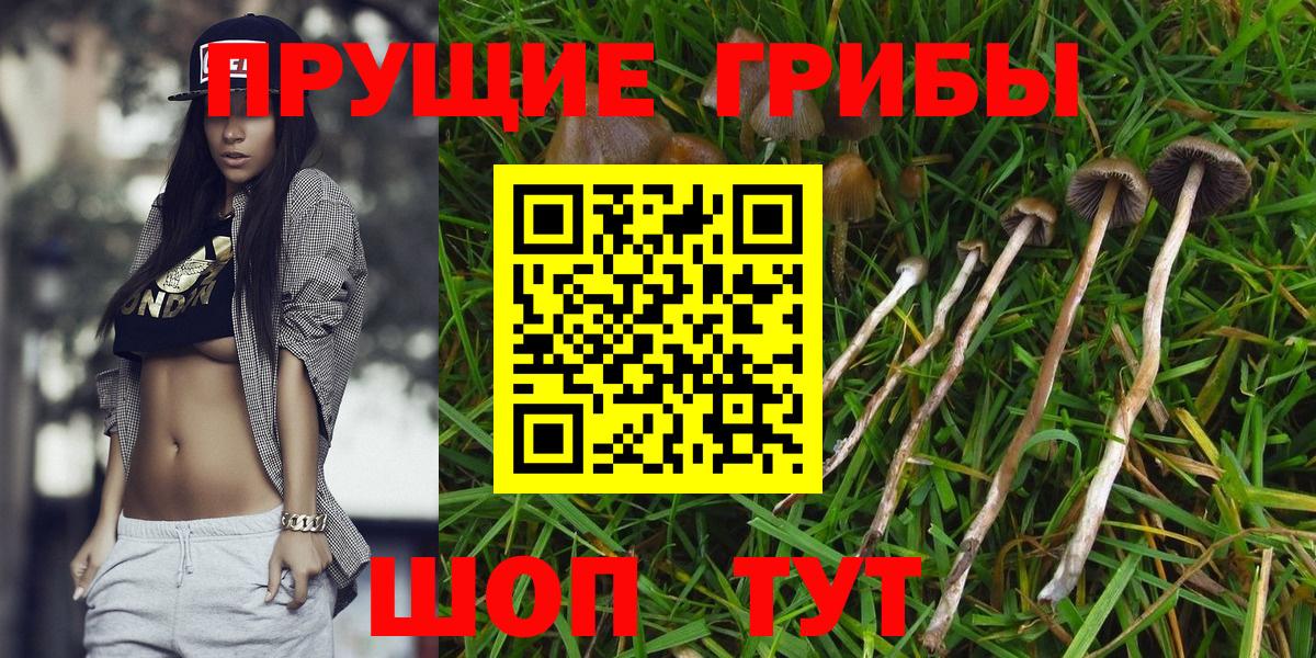 Галлюциногенные грибы Magic Shrooms  Вход с VPN  Галлюциногенные грибы Cubensis  цены   Мирный 