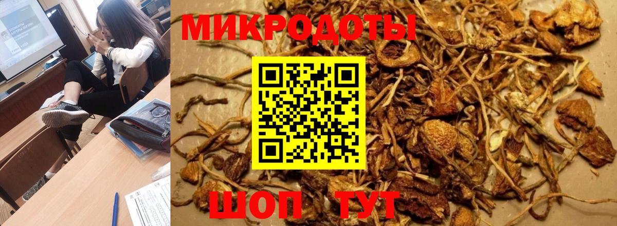 Псилоцибиновые грибы Psilocybine cubensis Мирный