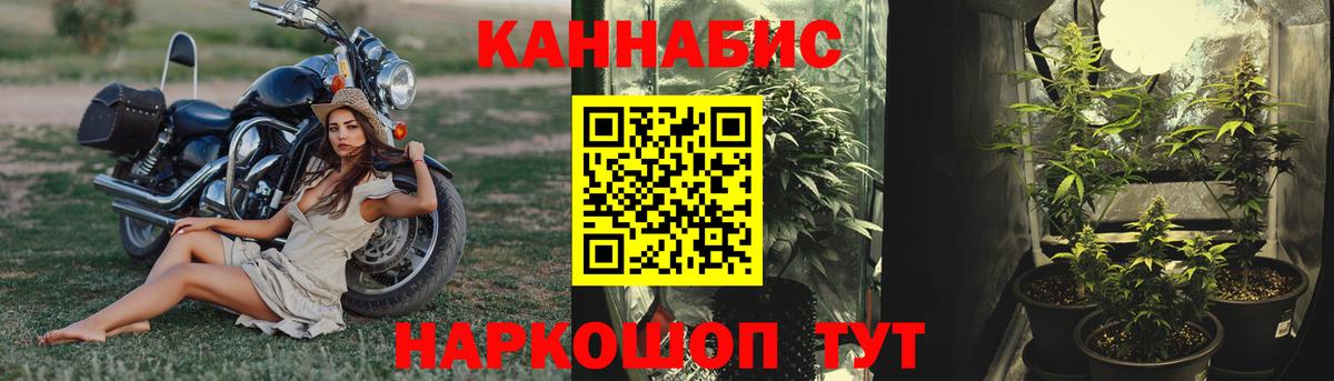 Бошки марихуана Amnesia  Шишки марихуана Amnesia  Каннабис конопля  Мирный  Вход с VPN 